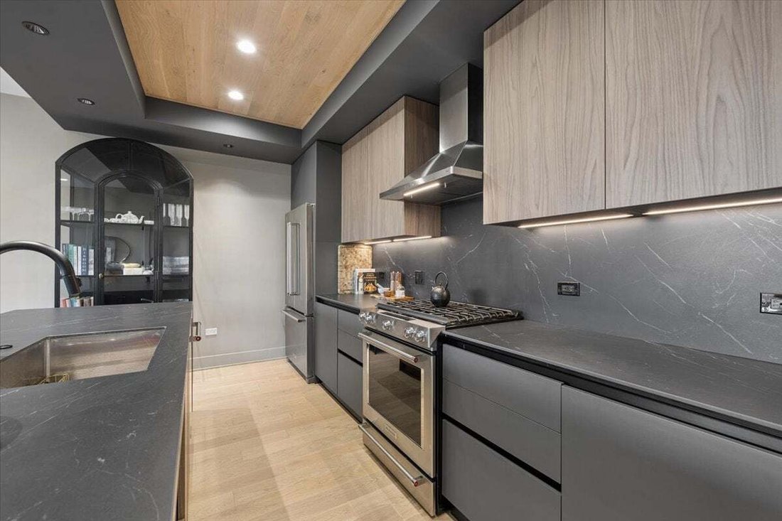 Condo in Chicago, Illinois, United States 5 - 18732708