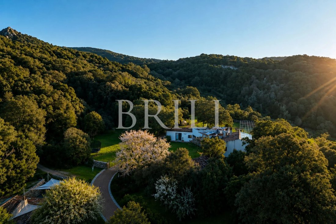Azienda agricola a Aglientu, Sardegna, Italia 1 - 17703011