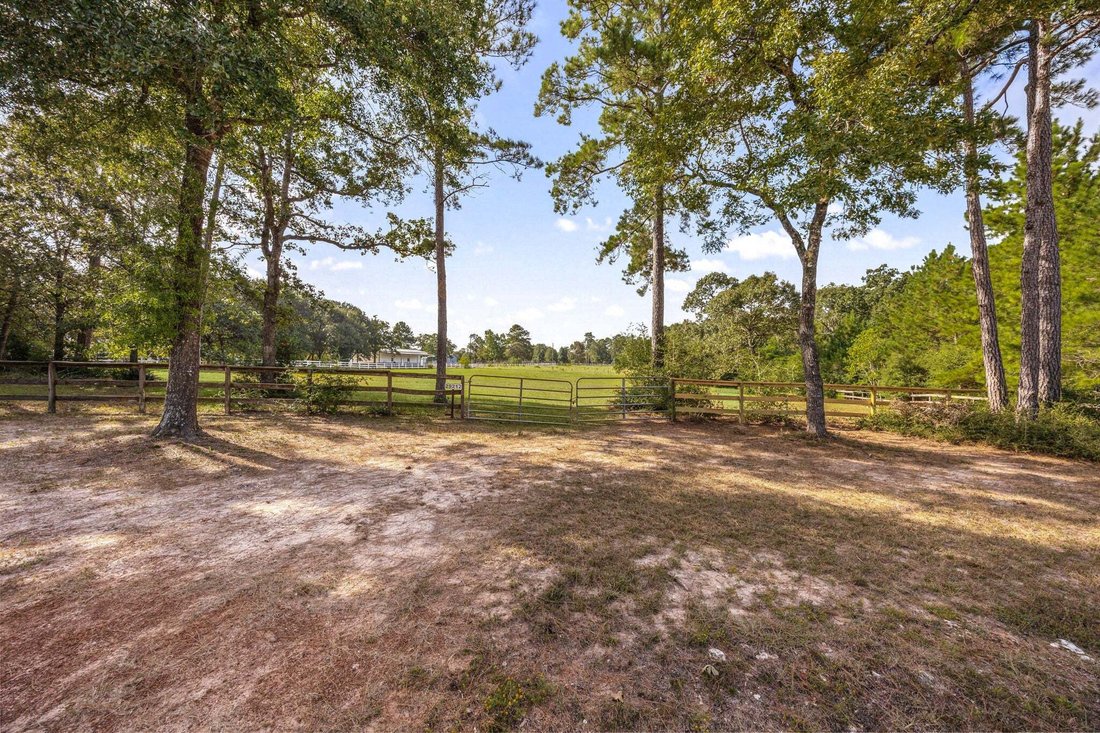 Terrain à Magnolia, Texas, États-Unis 3 - 18734280