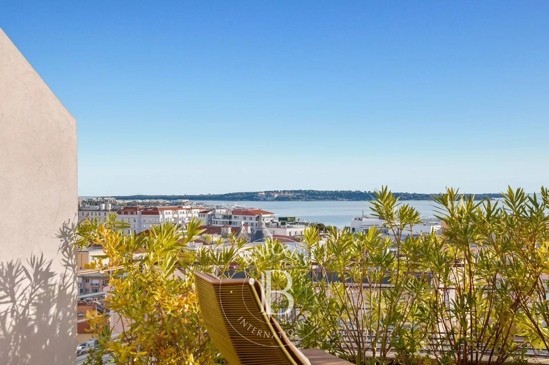 Wohnung in Cannes, Provence-Alpes-Côte d'Azur, Frankreich 4 - 13933799