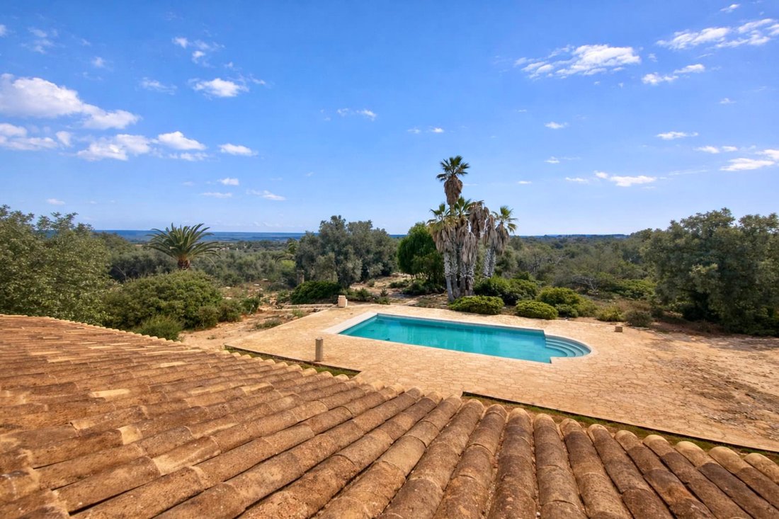 Landhaus in Ses Salines, Balearische Inseln, Spanien 3 - 18731648