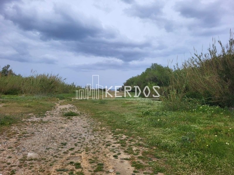 Land in Platanias, Greece 4 - 18732129
