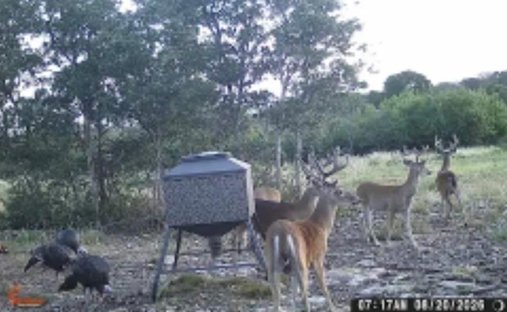 Casa a Goldthwaite, Texas, Stati Uniti 1
