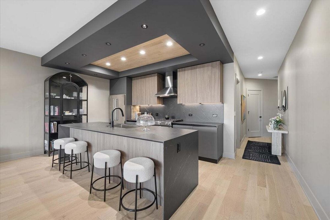 Condo in Chicago, Illinois, United States 2 - 18732708