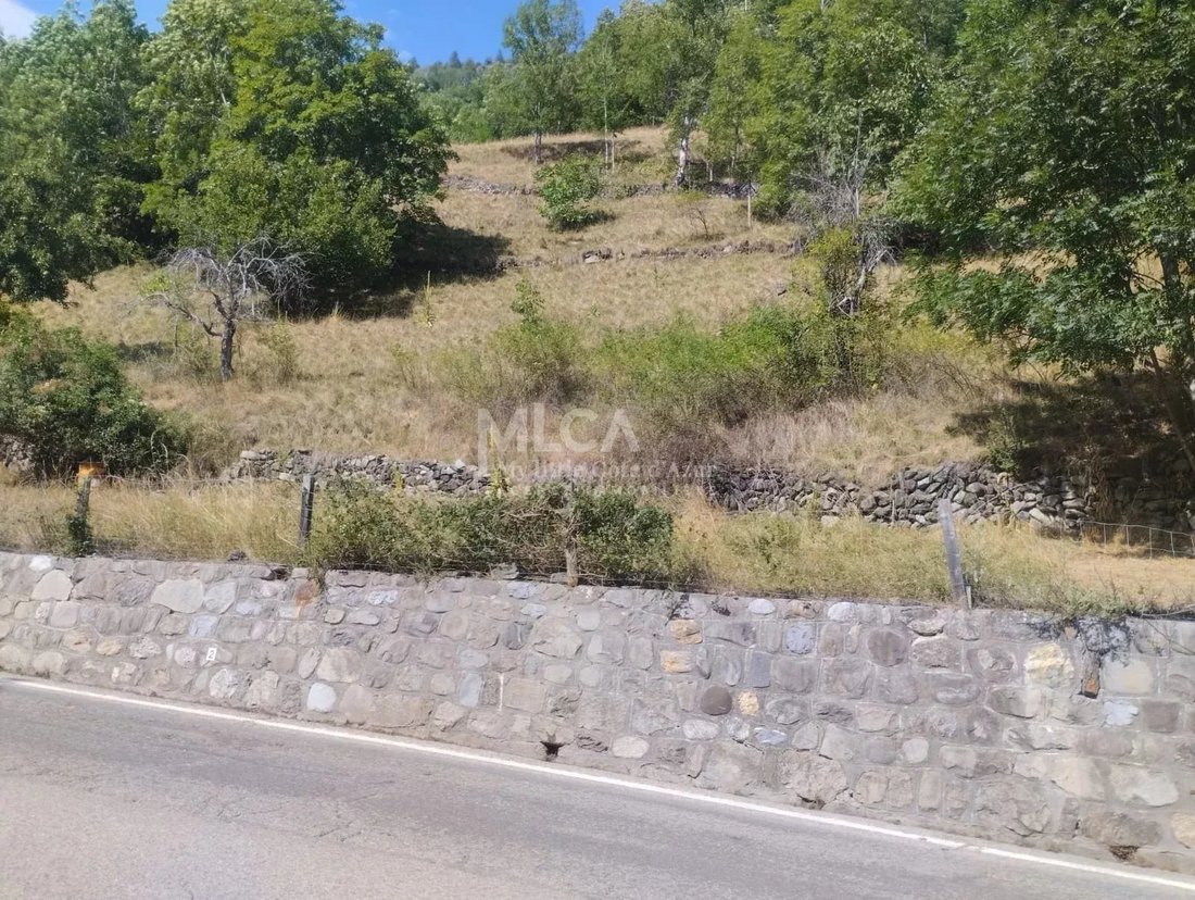 Land in Saint-Etienne-de-Tinée, Provence-Alpes-Côte d'Azur, France 3 - 14848375