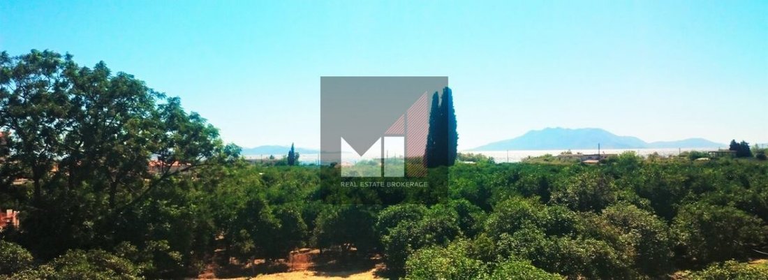 Villa in Community of Ancient Epidavros, Epidavros, Greece 1 - 18732092