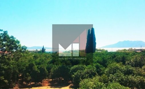Villa en Community of Ancient Epidavros, Epidavros, Grecia 1