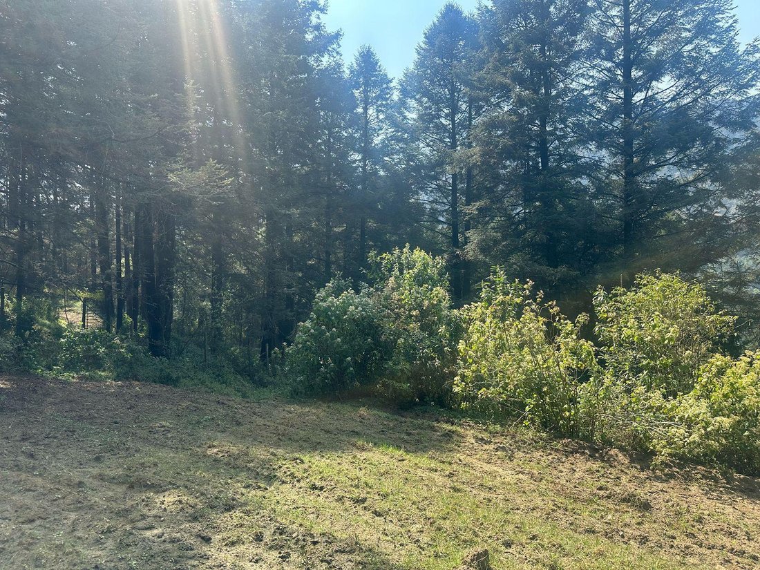 Land in Huixquilucan de Degollado, State of Mexico, Mexico 5 - 18734324
