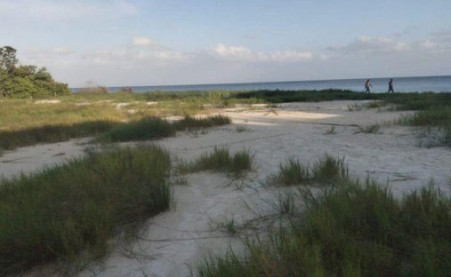Land in Caracol, Quintana Roo, Mexiko 1
