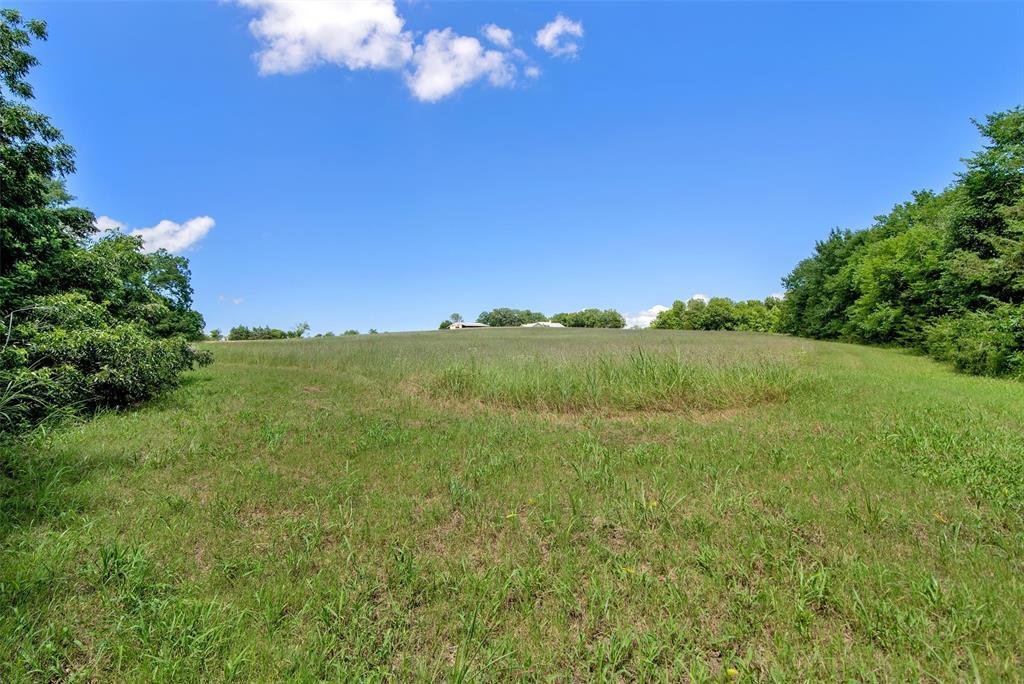 Azienda agricola a Blue Ridge, Texas, Stati Uniti 2 - 18736306