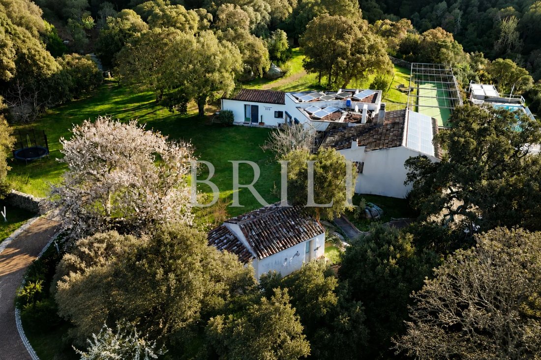 Azienda agricola a Aglientu, Sardegna, Italia 2 - 17703011
