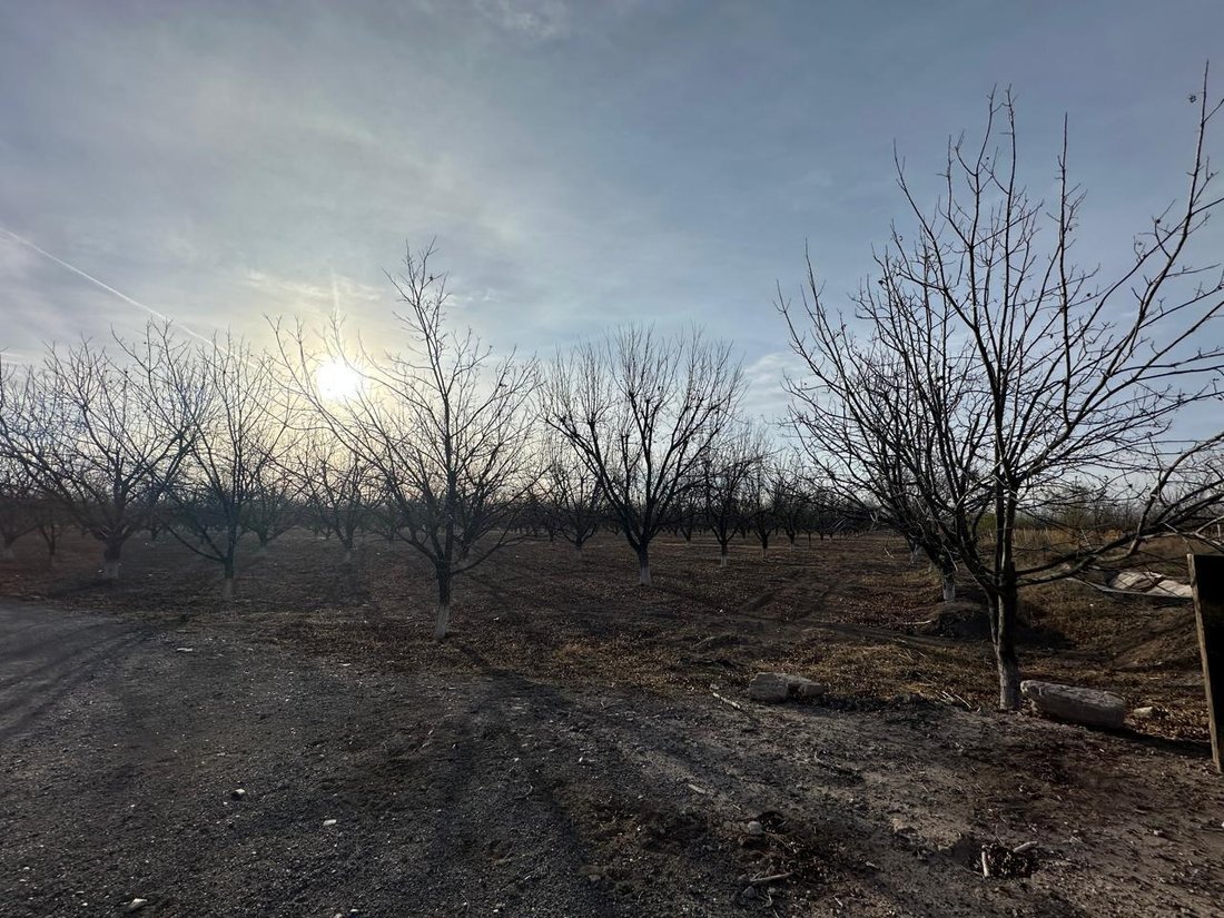 Terrain à La Luz, Coahuila, Mexique 2 - 18734464