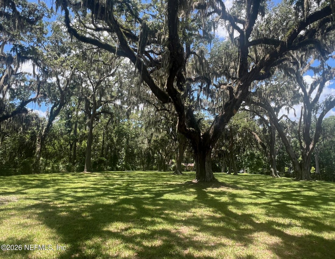 Land in Orange Park, Florida, United States 5 - 18737982
