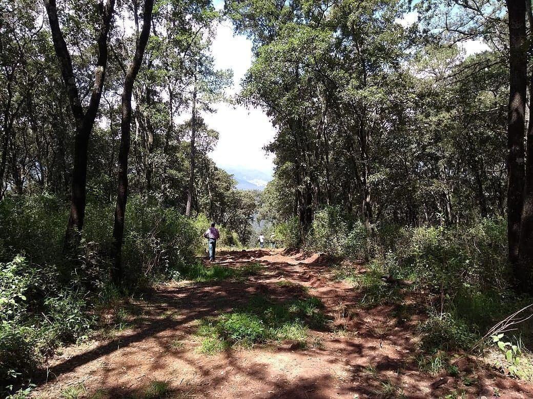 Terreno en Ciudad López Mateos, Estado de México, México 5 - 18734355