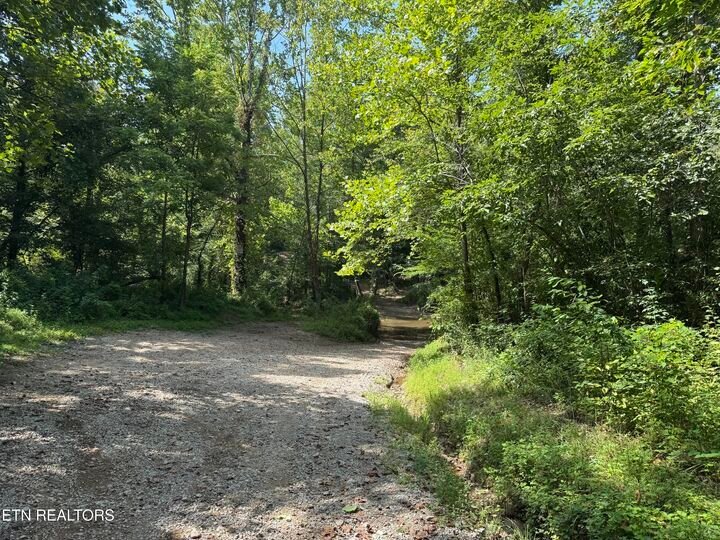 Terrain à Robbins, Tennessee, États-Unis 1 - 18738029