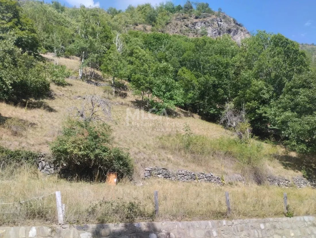 Land in Saint-Etienne-de-Tinée, Provence-Alpes-Côte d'Azur, France 2 - 14848375