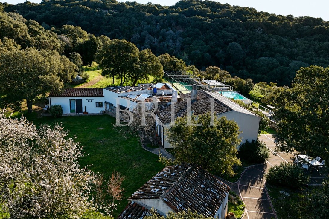 Azienda agricola a Aglientu, Sardegna, Italia 3 - 17703011