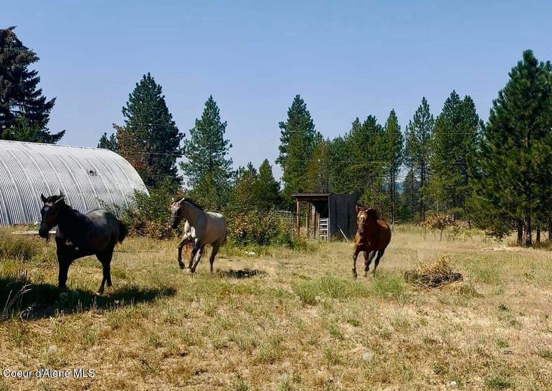 Autres à Rathdrum, Idaho, États-Unis 3 - 18734969