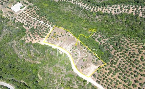 Land in Pylos and Nestor, Peloponnese, Western Greece and the Ionian, Griechenland 1