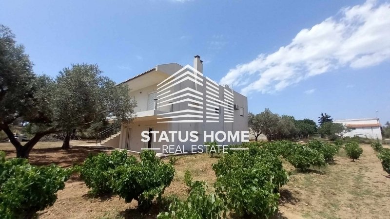 House in Kalyvia Thorikou, Attica, Greece 2 - 18734796