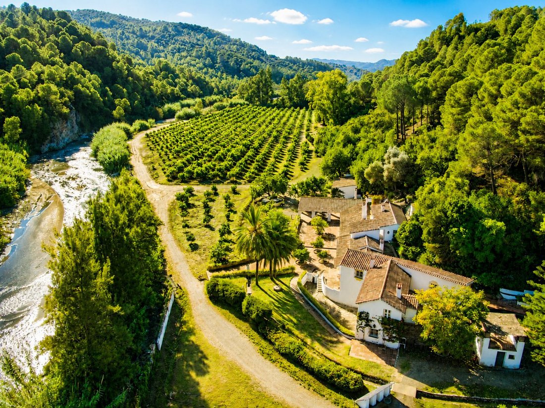 Finca in Gaucin, Andalusia, Spain 4 - 16706871