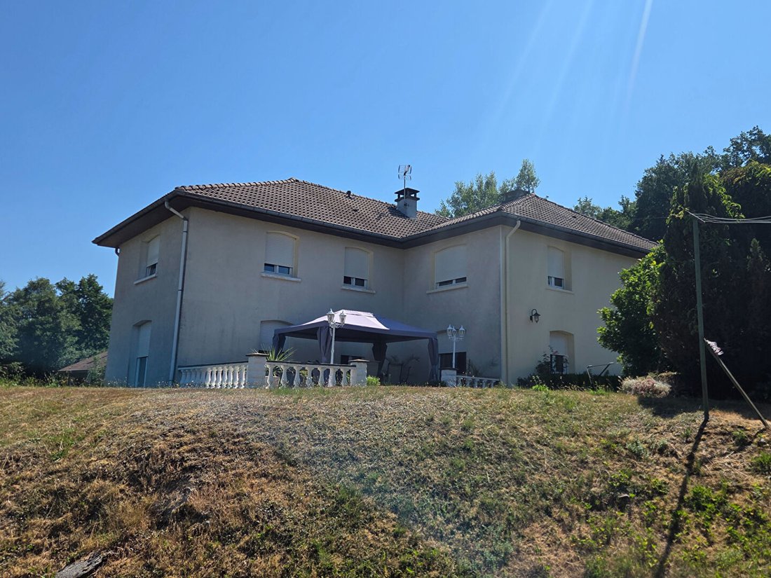 Villa in Le Syndikat, Grand Est, Frankreich 4 - 18734069