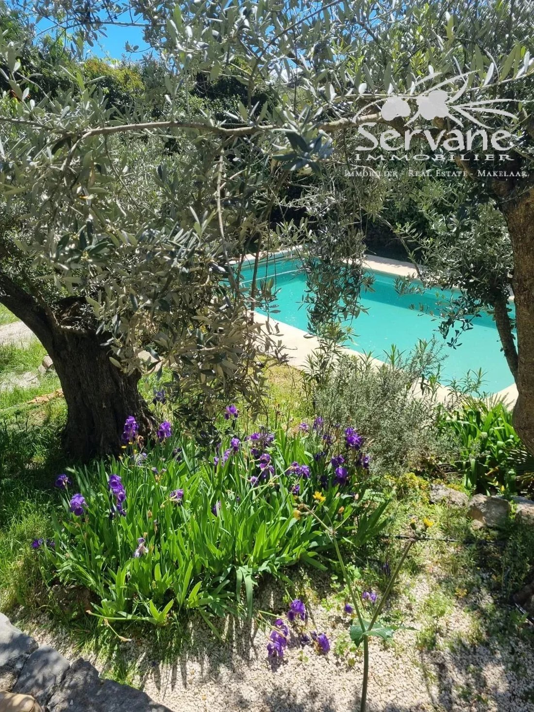 Villa a Taradeau, Provenza-Alpi-Costa Azzurra, Francia 4 - 17482788