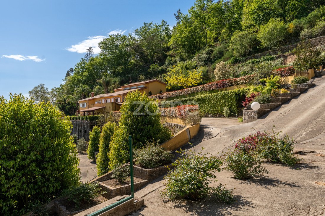 Finca a Eja, Oporto, Portogallo 1 - 15994141