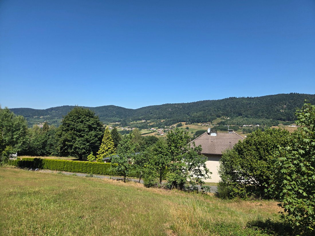 Villa in Le Syndikat, Grand Est, Frankreich 2 - 18734069