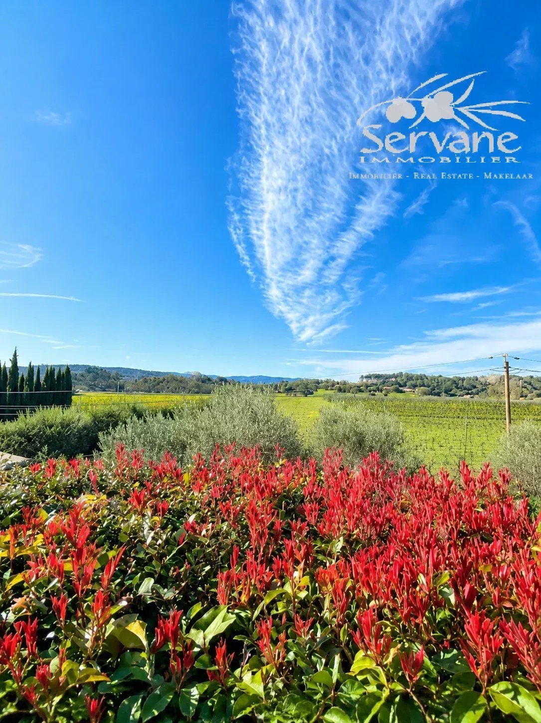 Villa à Cotignac, Provence-Alpes-Côte d'Azur, France 3 - 18239061