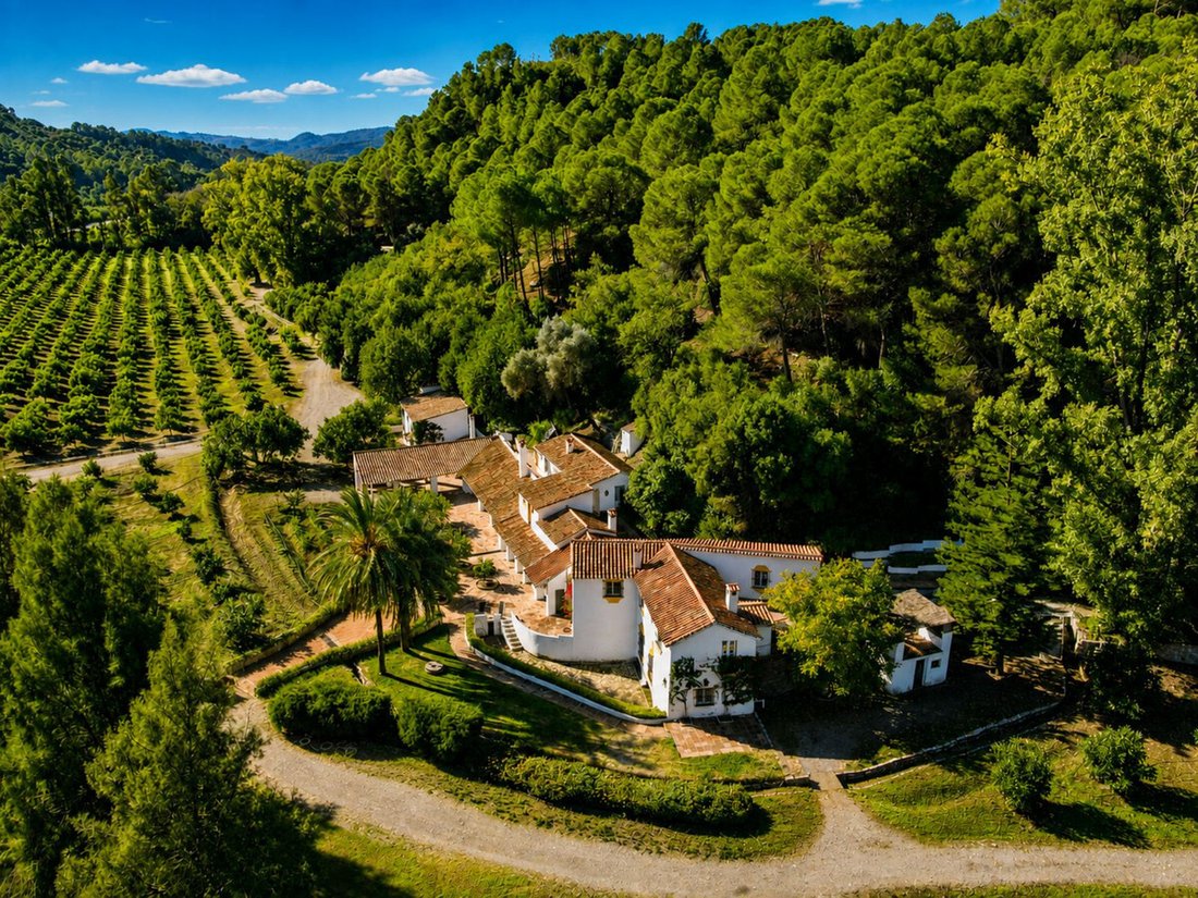 Finca in Gaucin, Andalusia, Spain 3 - 16706871