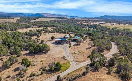 House in Crawford, Colorado, United States 1