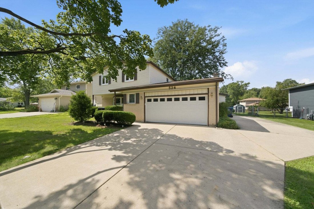 Casa a Schaumburg, Illinois, Stati Uniti 3 - 18735604
