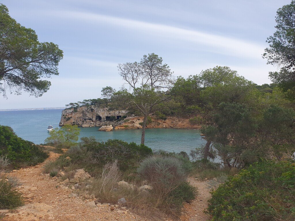 Corps de ferme à Sol de Mallorca, Calvià, Îles Baléares 1 - 18736125