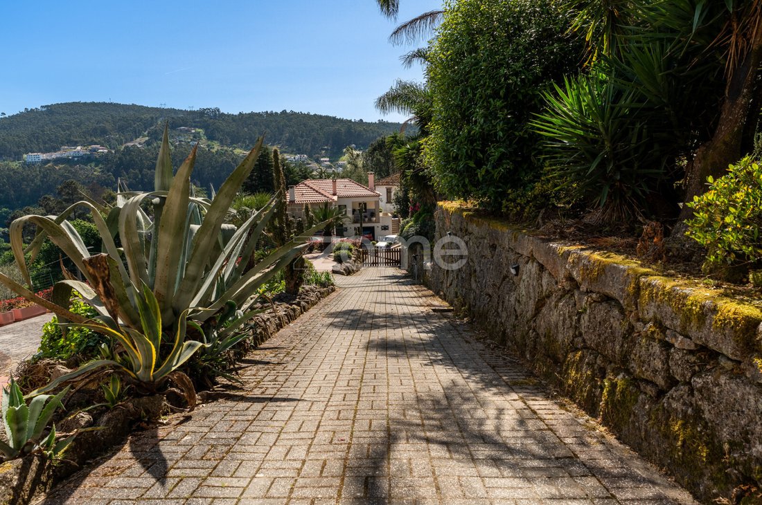 Finca a Eja, Oporto, Portogallo 1 - 15994141