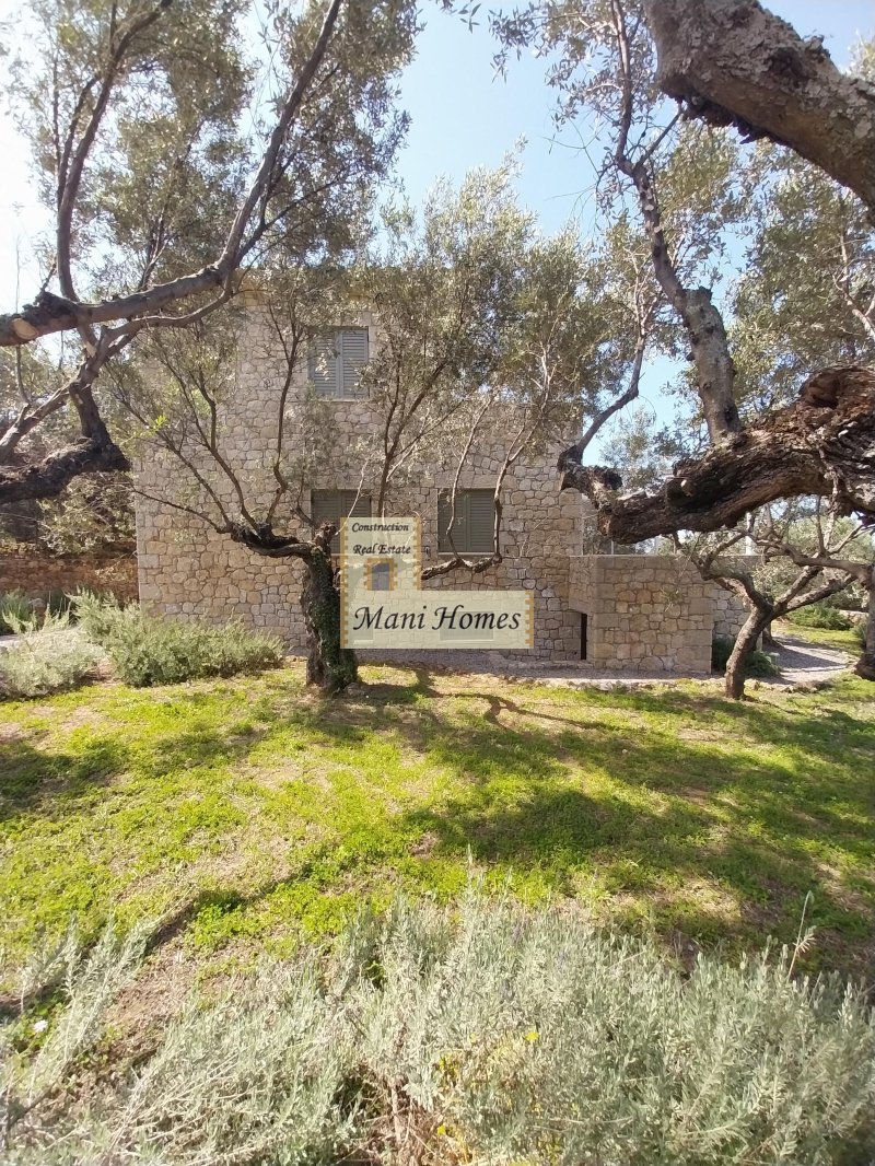 Haus in Avia, Peloponnese, Western Greece and the Ionian, Griechenland 5 - 18732207