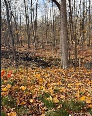 Terreno en Montebello, Nueva York, Estados Unidos 1 - 18737977