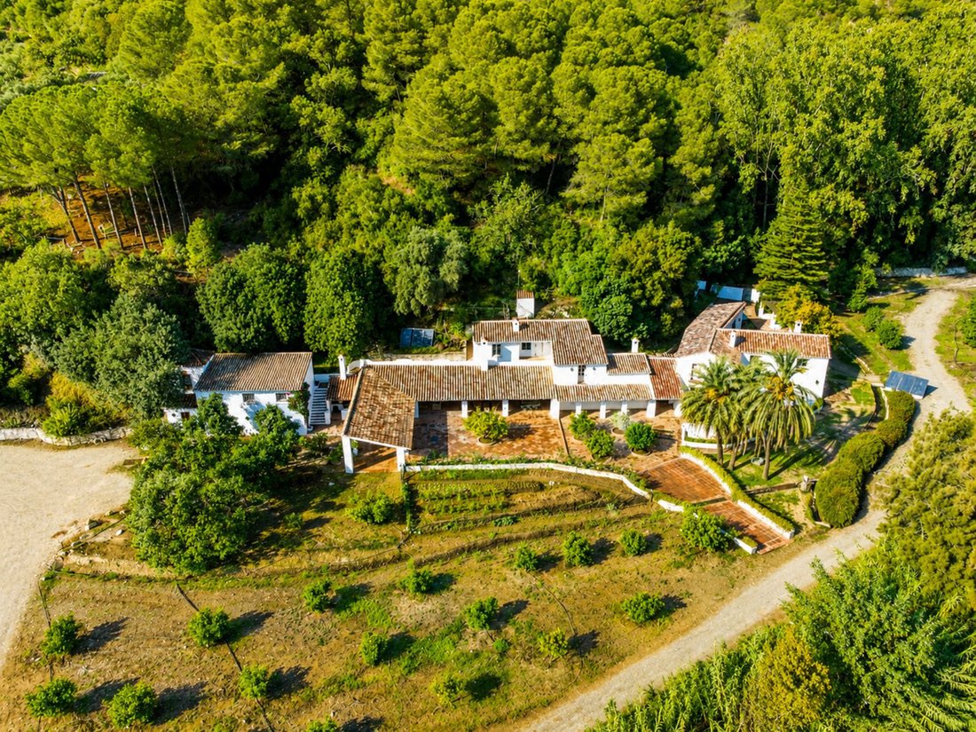 Finca in Gaucin, Andalusia, Spain 5 - 16706871