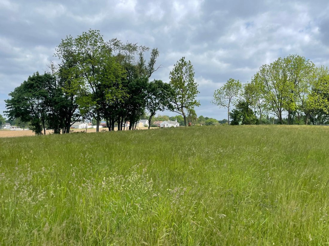 Terrain à West Grove, Pennsylvanie, États-Unis 2 - 17749919