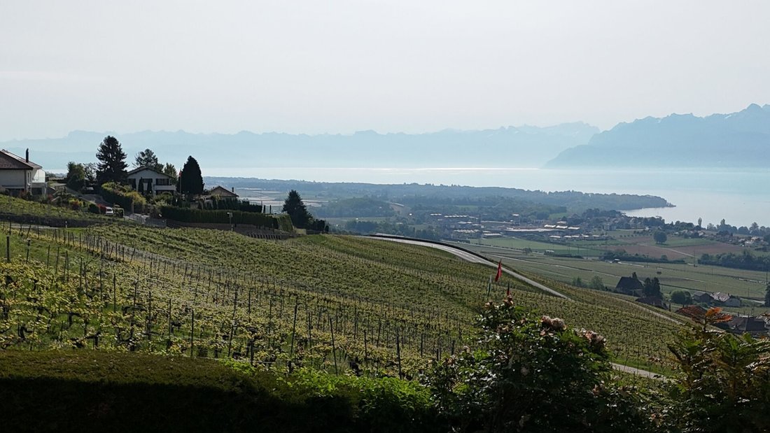 Casa a Rolle, Vaud, Svizzera 5 - 18734875