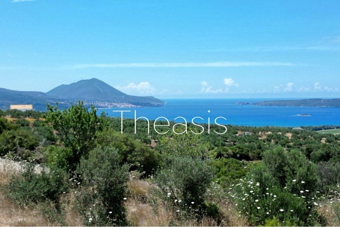 Land in Pylos and Nestor, Peloponnese, Western Greece and the Ionian, Griechenland 3 - 18732079