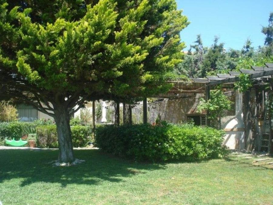 Casa a Lavreotiki Community, Attica, Grecia 3 - 18734963
