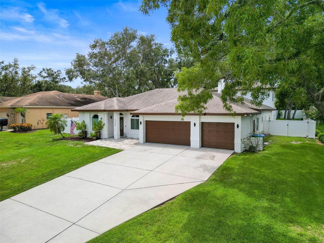 Haus in Palm Harbor, Florida, Vereinigte Staaten 2 - 18735112