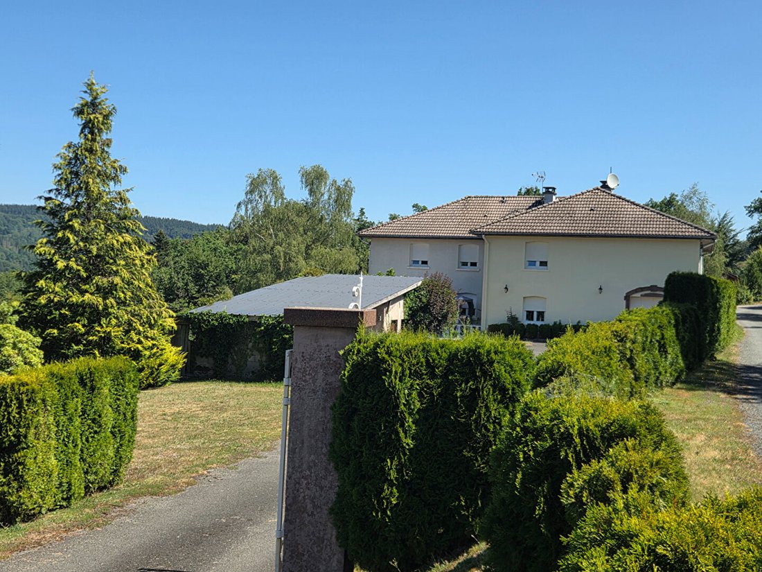 Villa in Le Syndikat, Grand Est, Frankreich 3 - 18734069