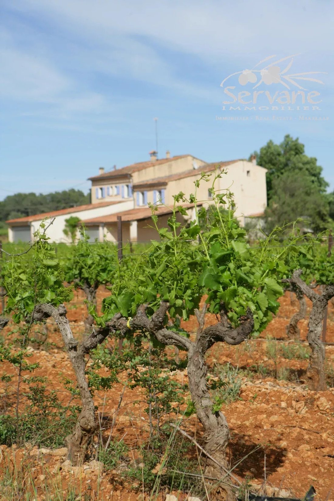 Villa in Cotignac, Provence-Alpes-Côte d'Azur, France 3 - 17555634