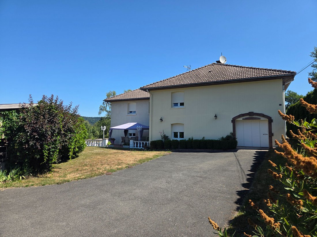 Villa in Le Syndikat, Grand Est, Frankreich 5 - 18734069