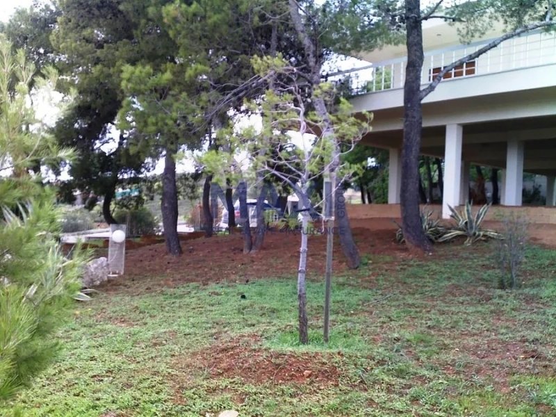 Casa en Spata-Loutsa, Ática, Grecia 4 - 18732641