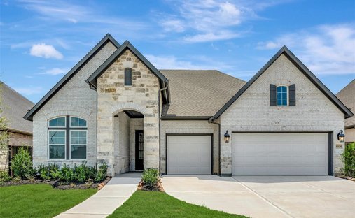 House in Mont Belvieu, Texas, United States 1