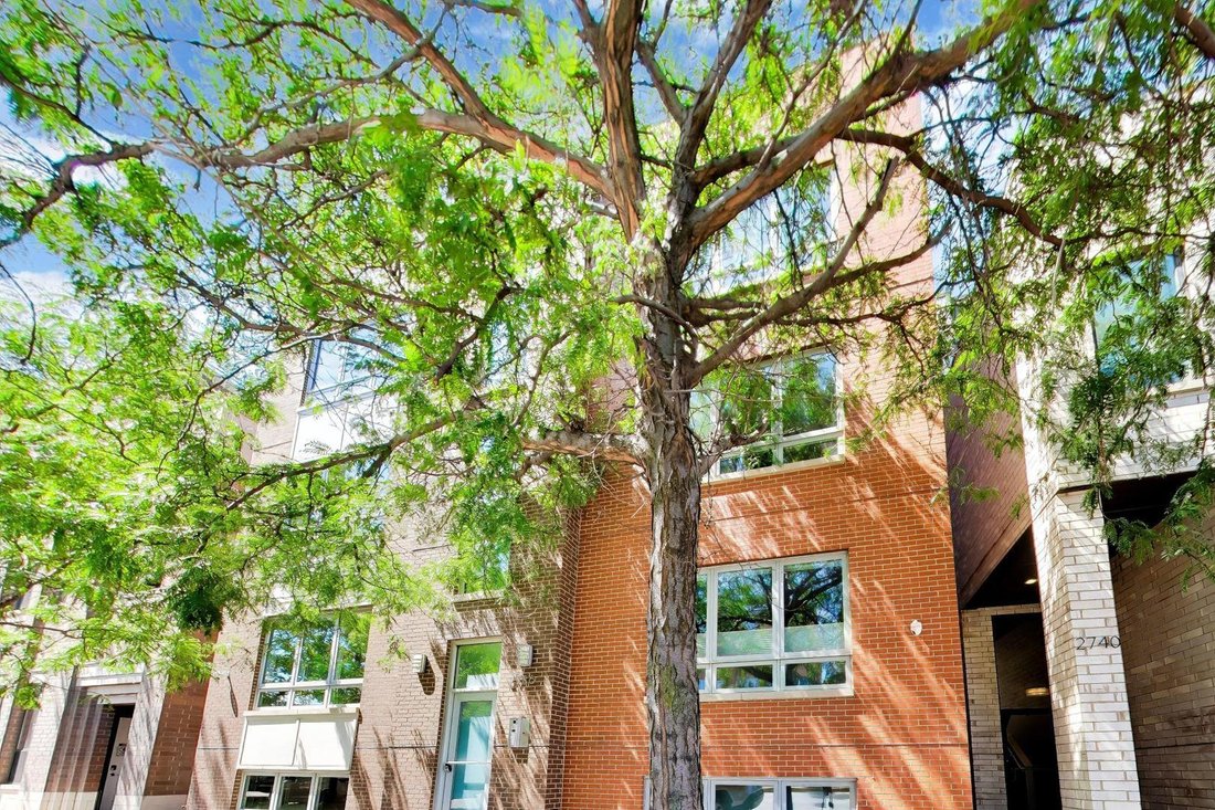 Condo in Chicago, Illinois, United States 1 - 18735535