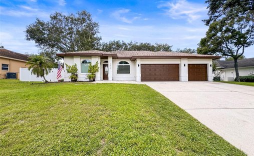 Haus in Palm Harbor, Florida, Vereinigte Staaten 1